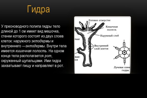 Кракен не заходит