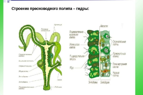 Кракен ссылка даркнет