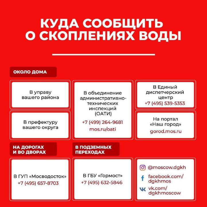 Сайты для даркнета