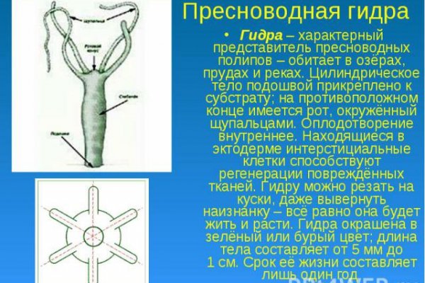 Kraken13 at сайт